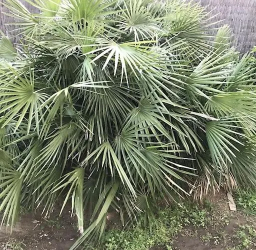 Maison Familiale Près De La Villa